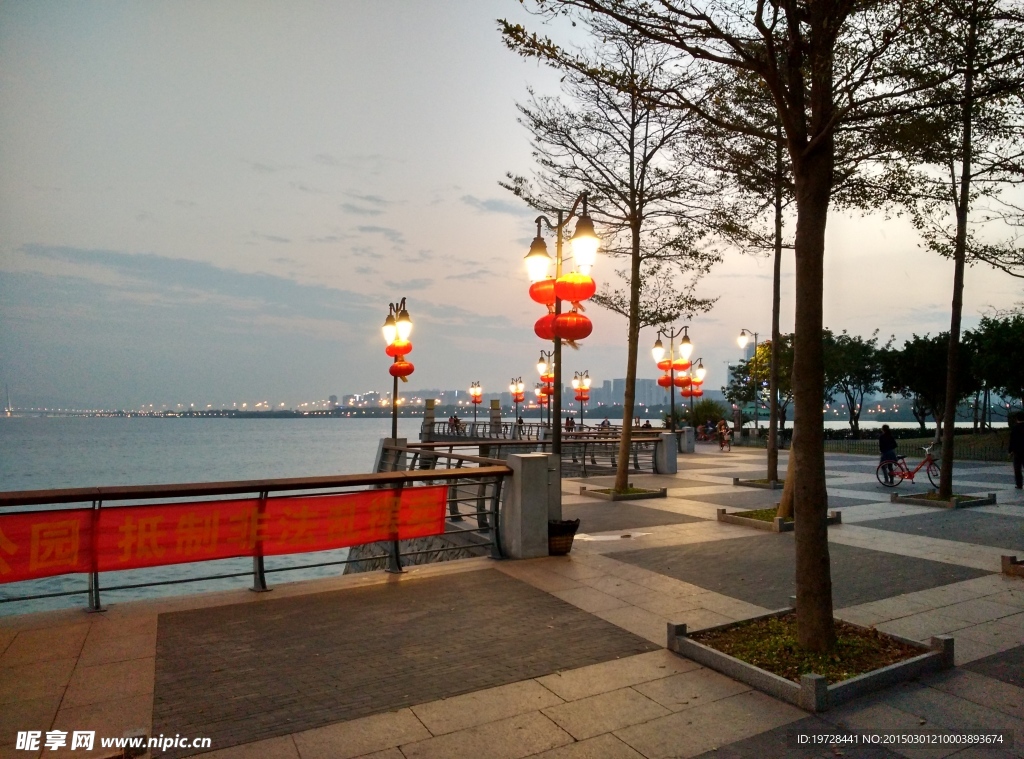 深圳湾夜景