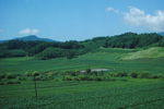 田地风景