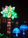 彩灯灯会