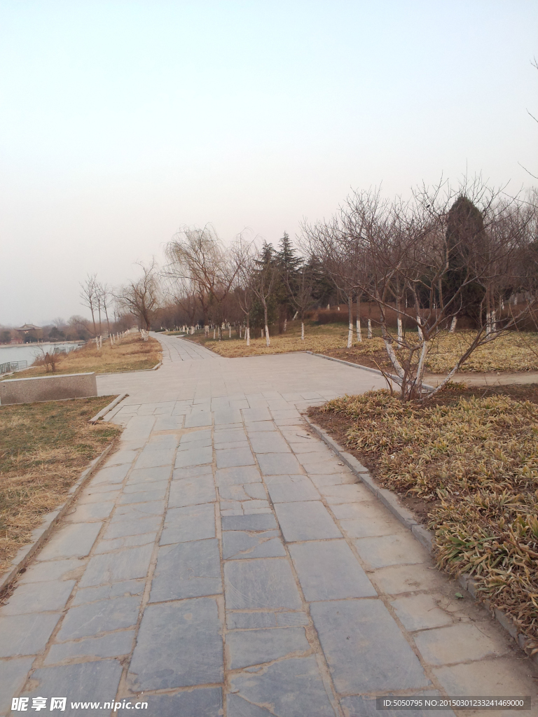 公园小路