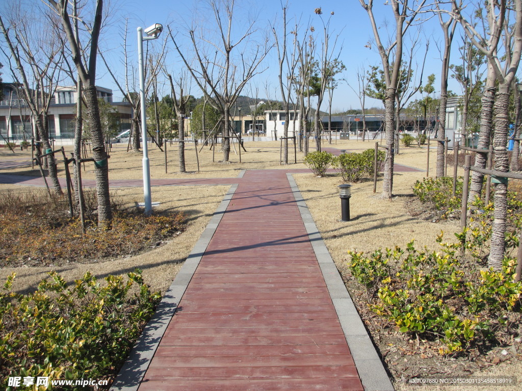 塑木走廊  木塑地板