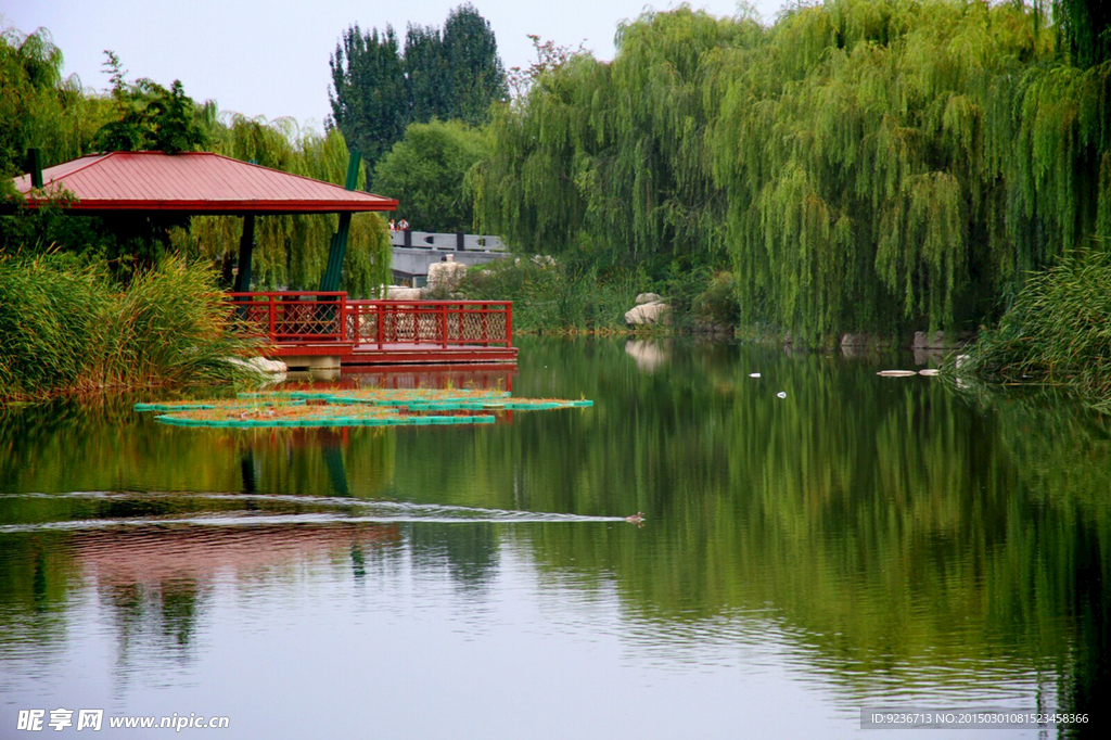 河边风景