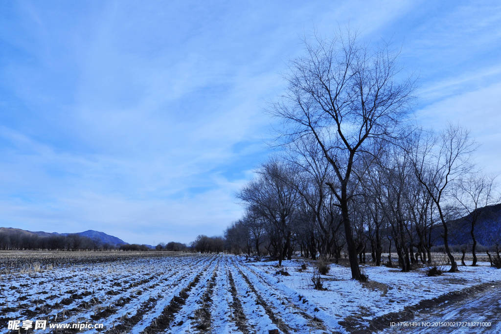 奥林匹克公园雪景