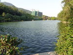 湖面风光