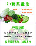 蔬菜 名片