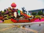 东莞广场花卉园艺