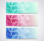 DNA分子banner