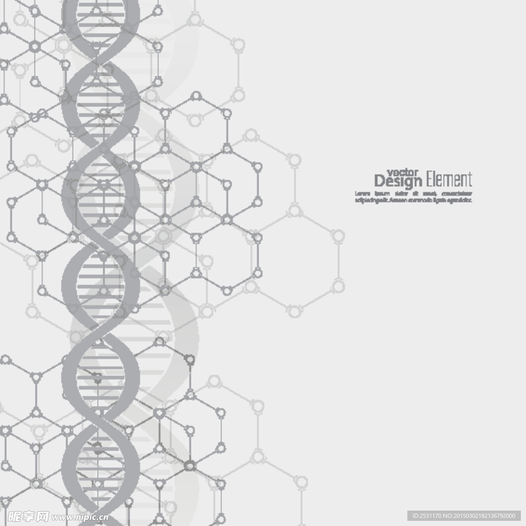 基因DNA