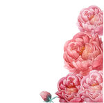 鲜花