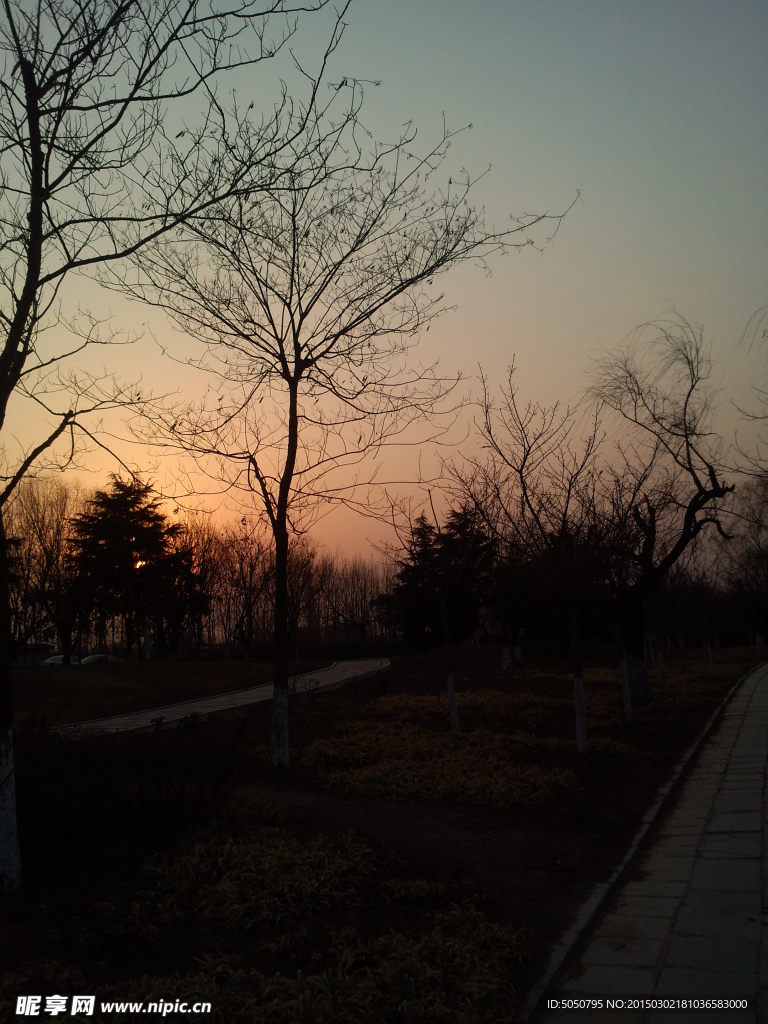 夕阳公园