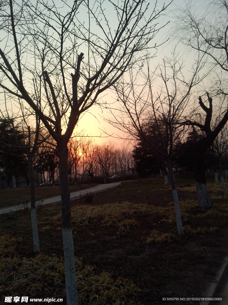 夕阳公园