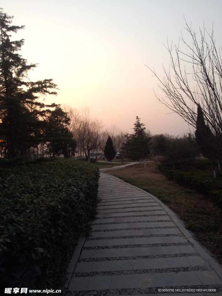 夕阳公园