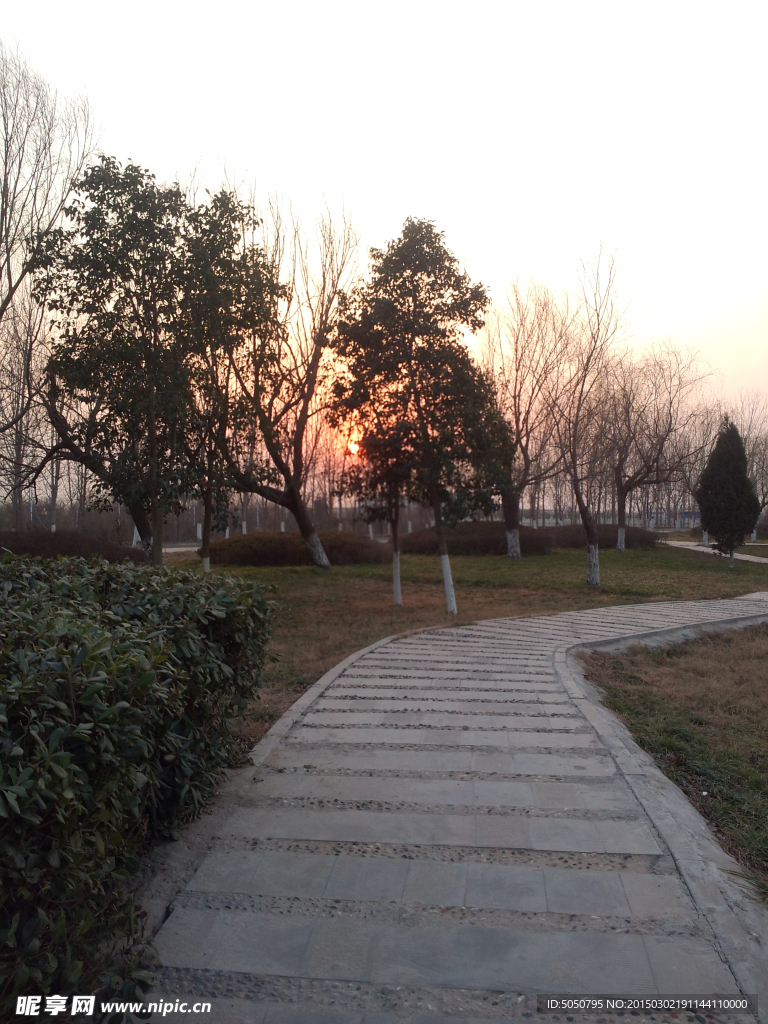 夕阳公园