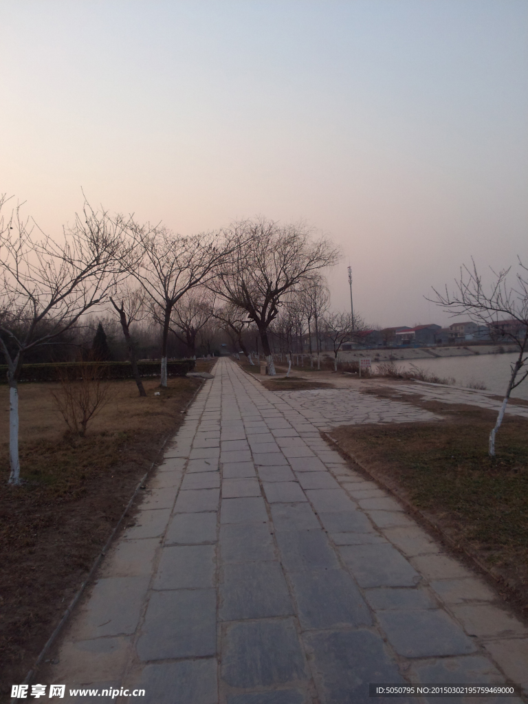 公园小路