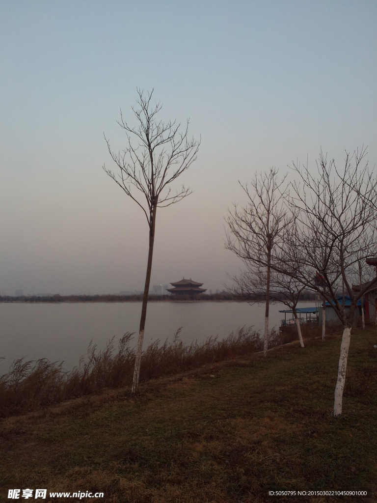 夕湖水阳枯树