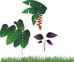 矢量小草 树叶