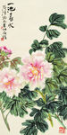 牡丹花
