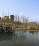公园
