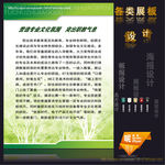 学校板报