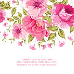 粉色花卉卡片