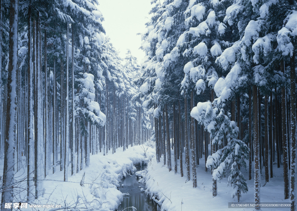 奥林匹克公园雪景