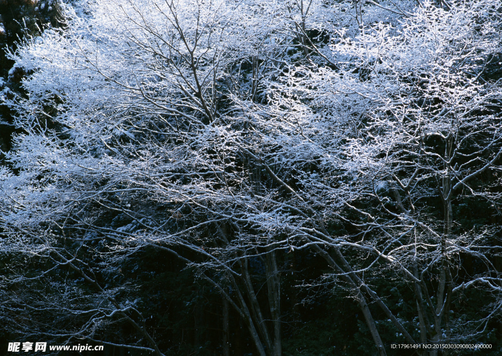奥林匹克公园雪景