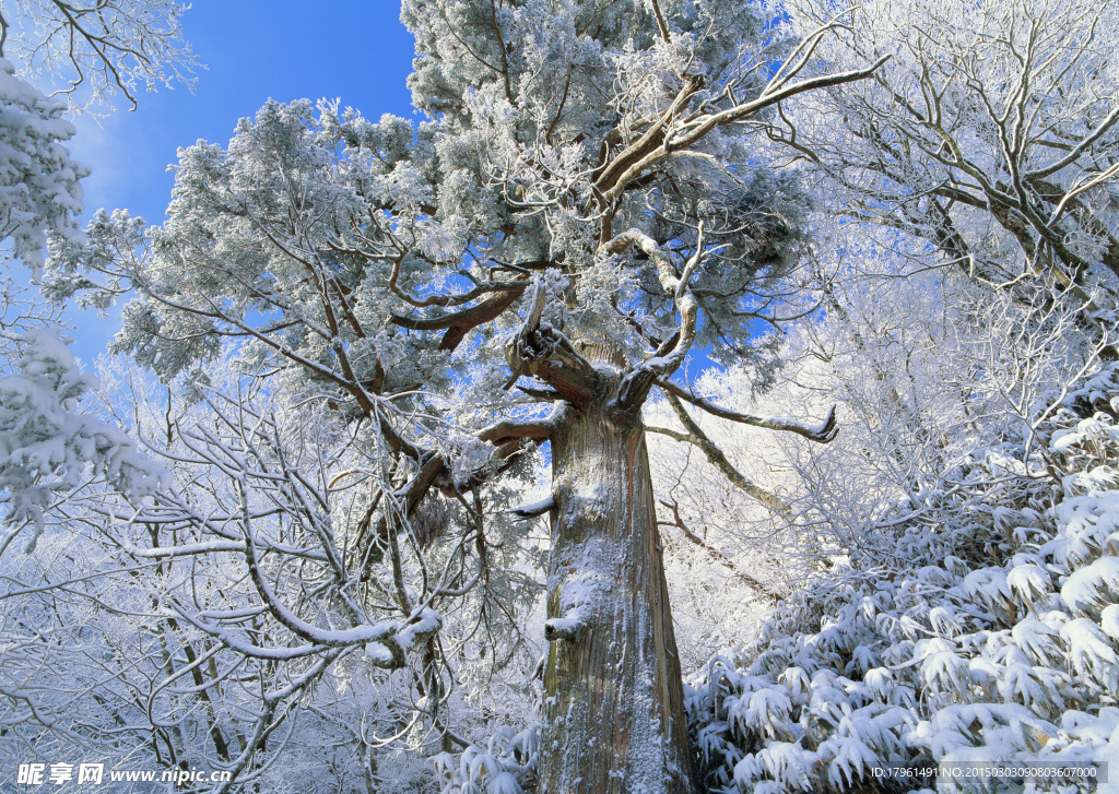 奥林匹克公园雪景