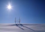 奥林匹克公园雪景