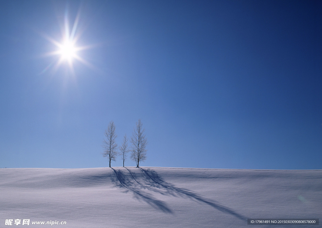 奥林匹克公园雪景