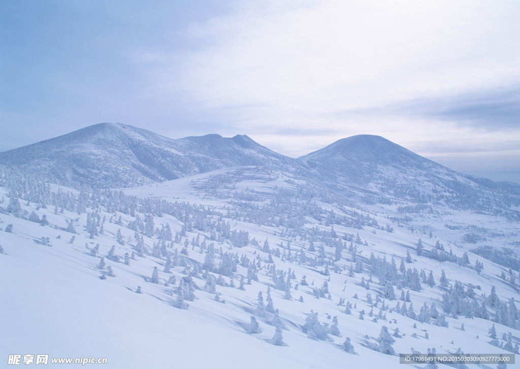 奥林匹克公园雪景