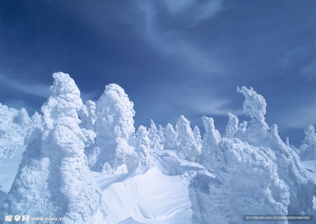 奥林匹克公园雪景