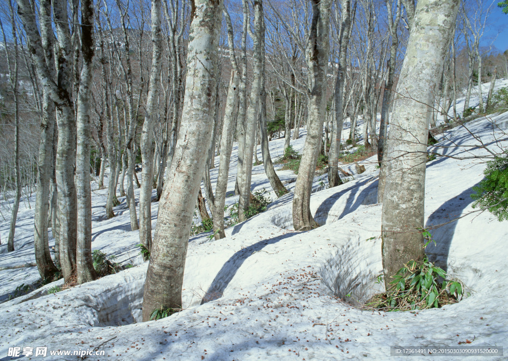 奥林匹克公园雪景
