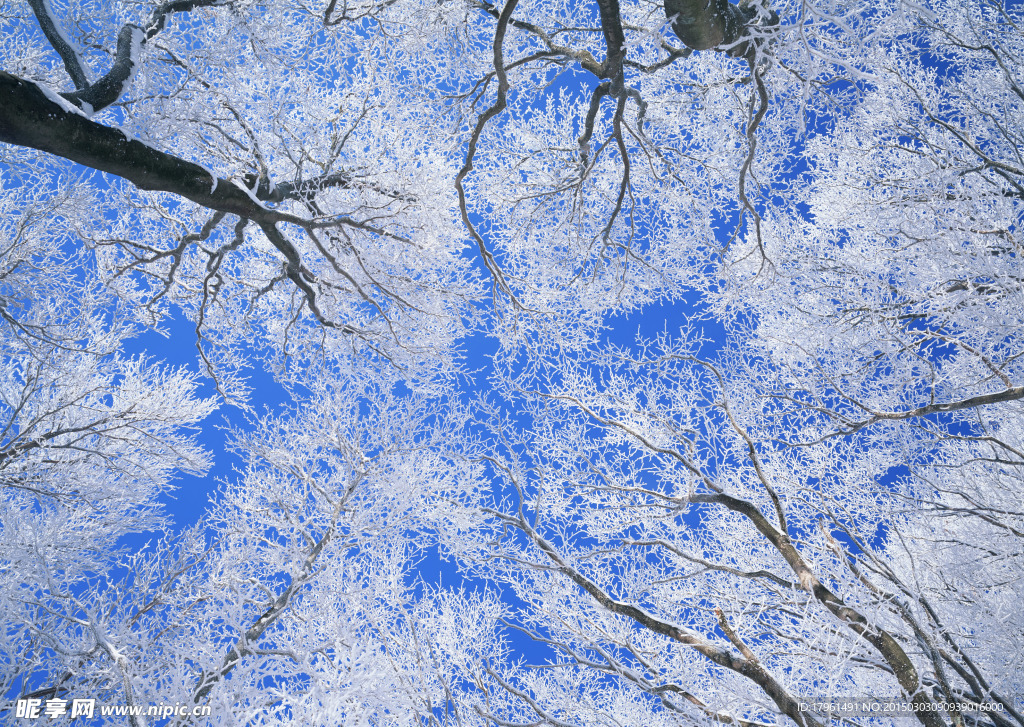 奥林匹克公园雪景