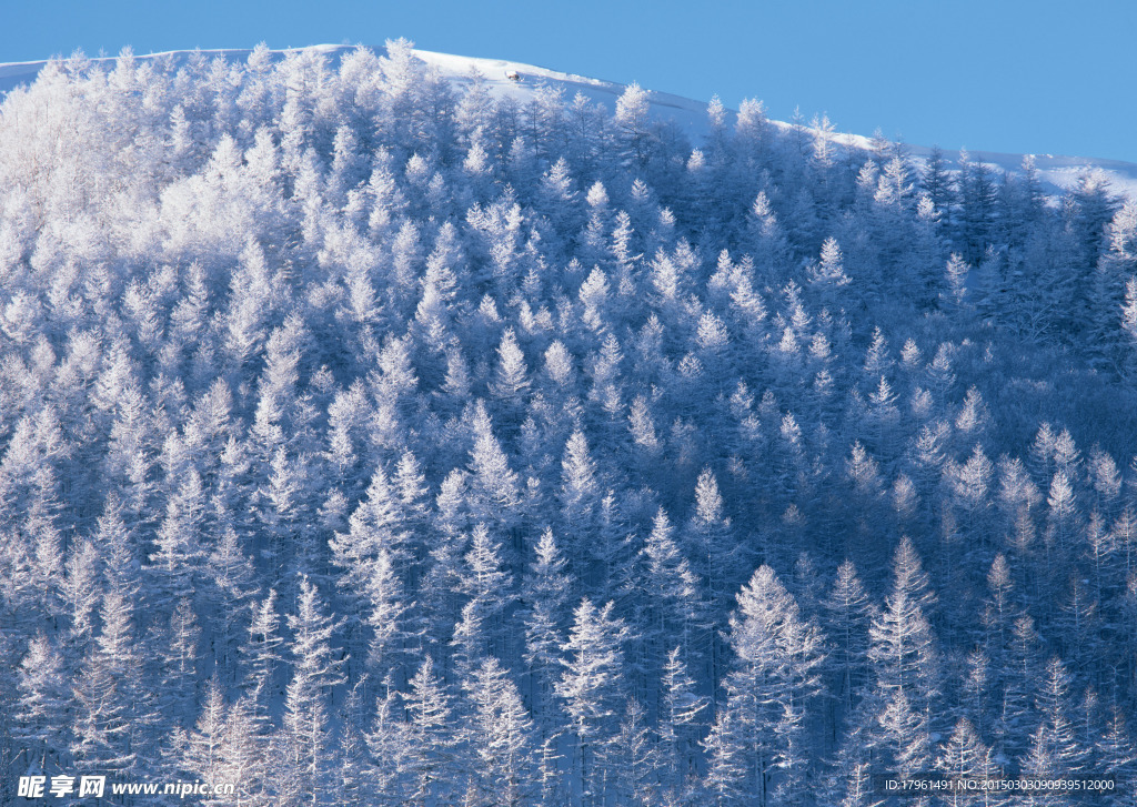 奥林匹克公园雪