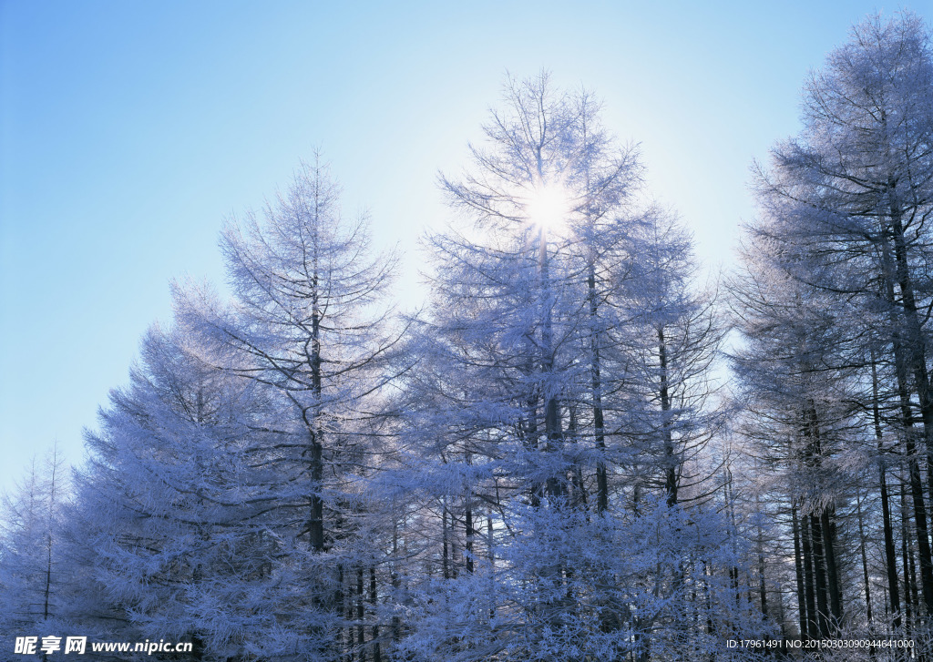 奥林匹克公园雪景