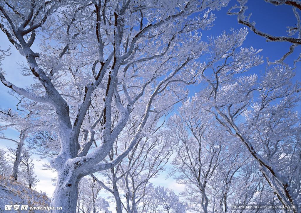 奥林匹克公园雪景