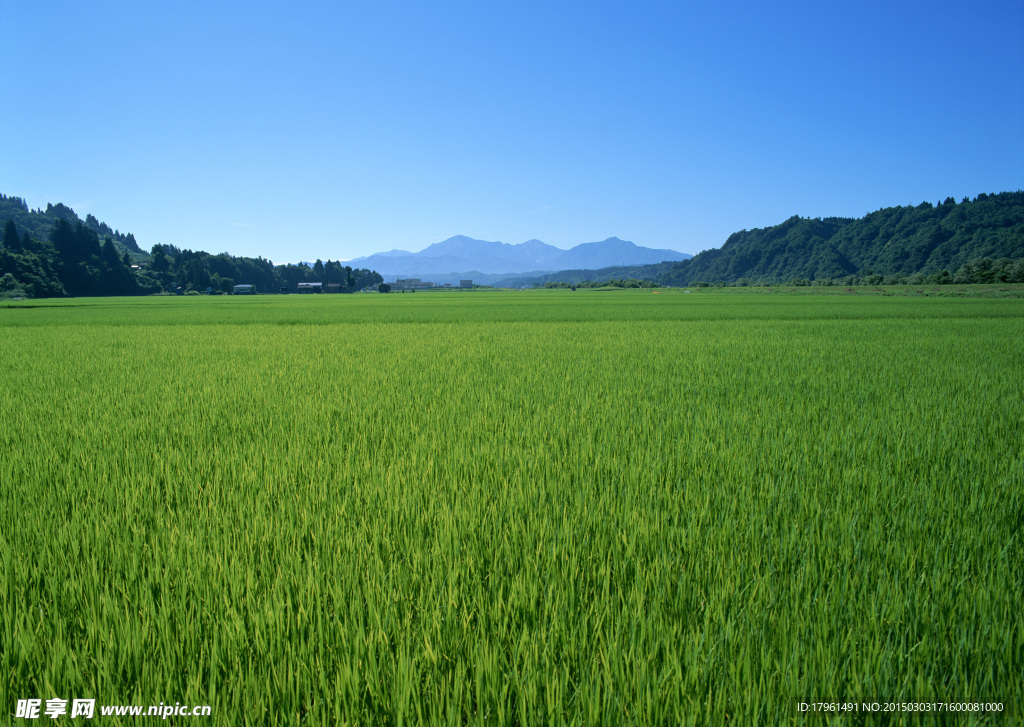 内蒙古草原