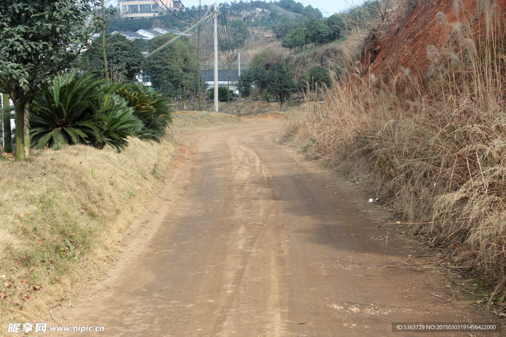 景区山路