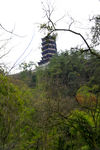 山林