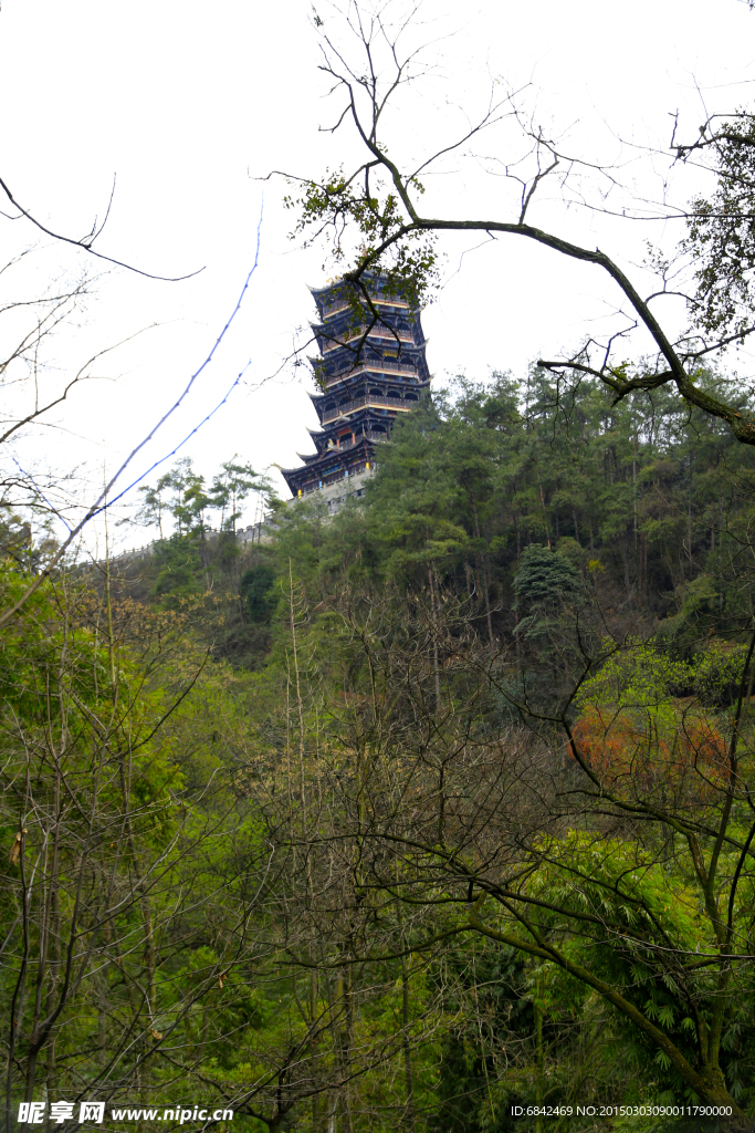 山林