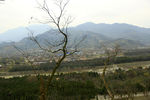 绿山