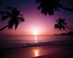 夕阳
