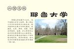 耶鲁大学