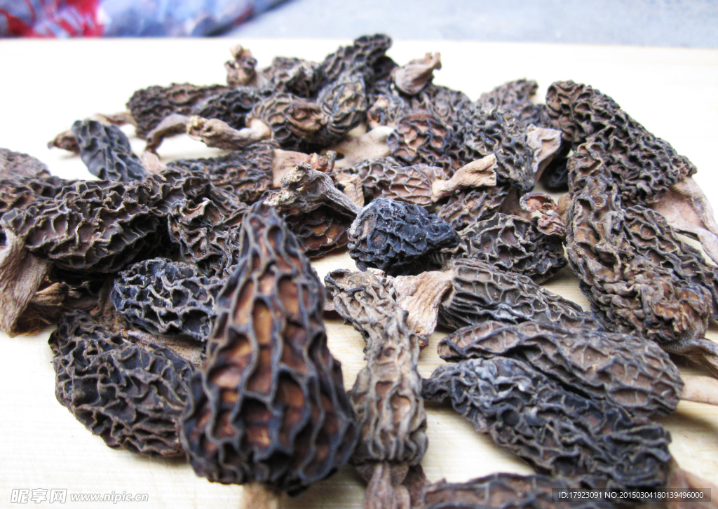 鸡枞菌