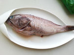 石斑鱼
