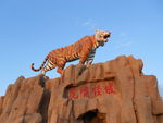 沈阳怪坡