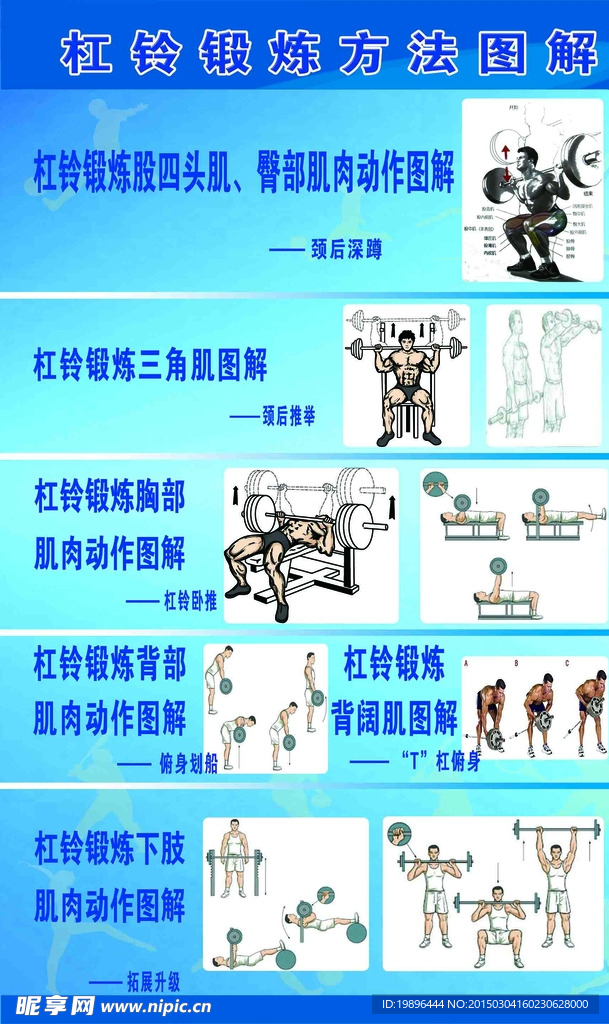 杠铃全套锻炼图解