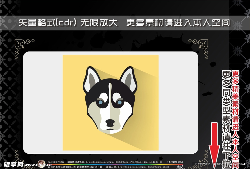 动物头像