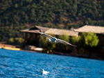 泸沽湖
