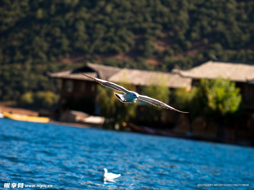 泸沽湖